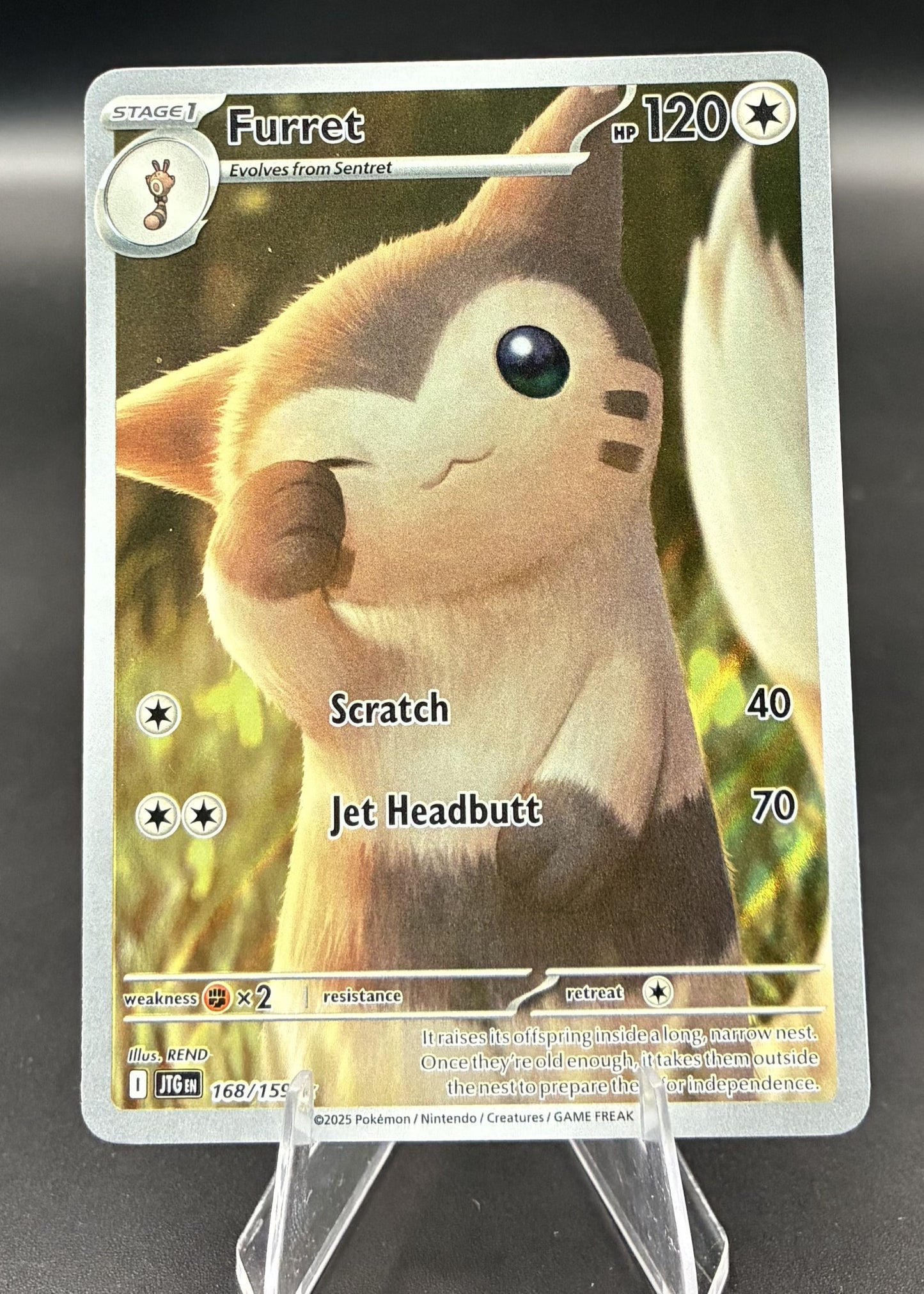 Furret | 168/159