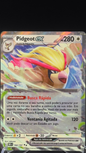 Pidgeot EX | 164/197