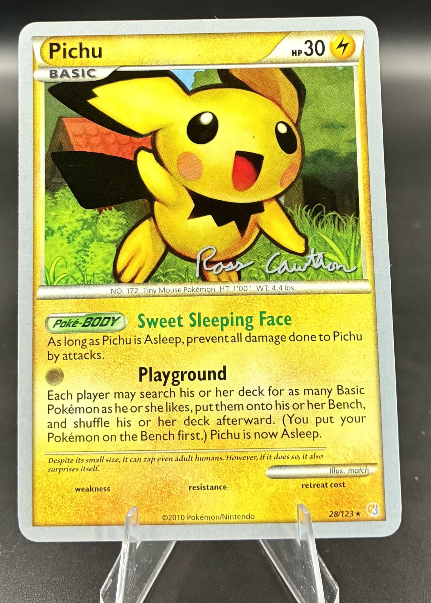 Pichu | 28/123 | 2010