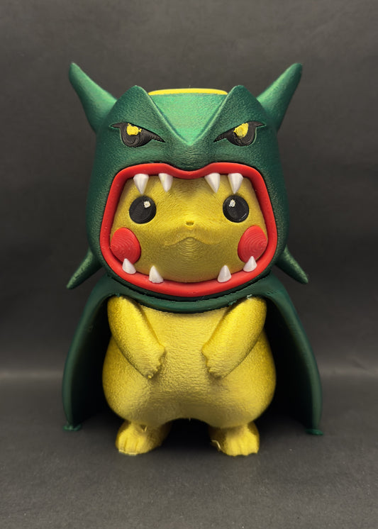 Pikachu Poncho Rayquaza