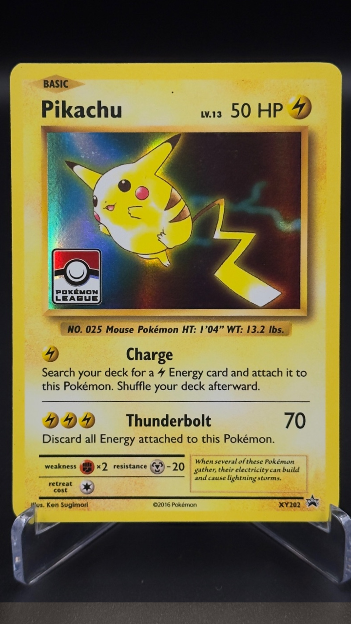 Pikachu | XY202